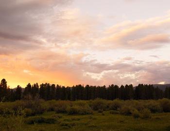 Sunset over a forested hill.