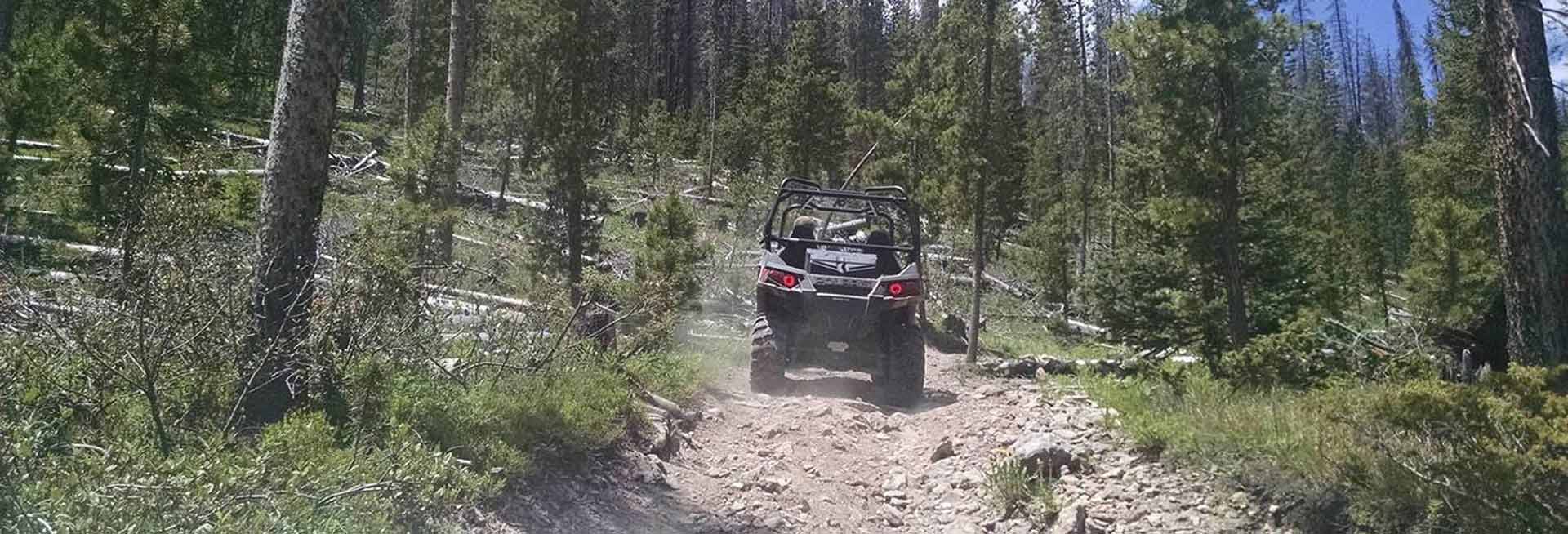 ATV on a dirt trail.