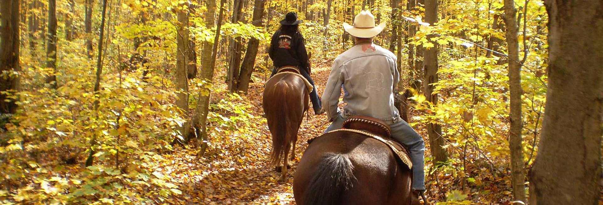 Group on autumn horseback trail ride.